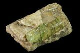 Yellow-Green Fluorapatite Crystal in Calcite - Ontario, Canada #137099-2